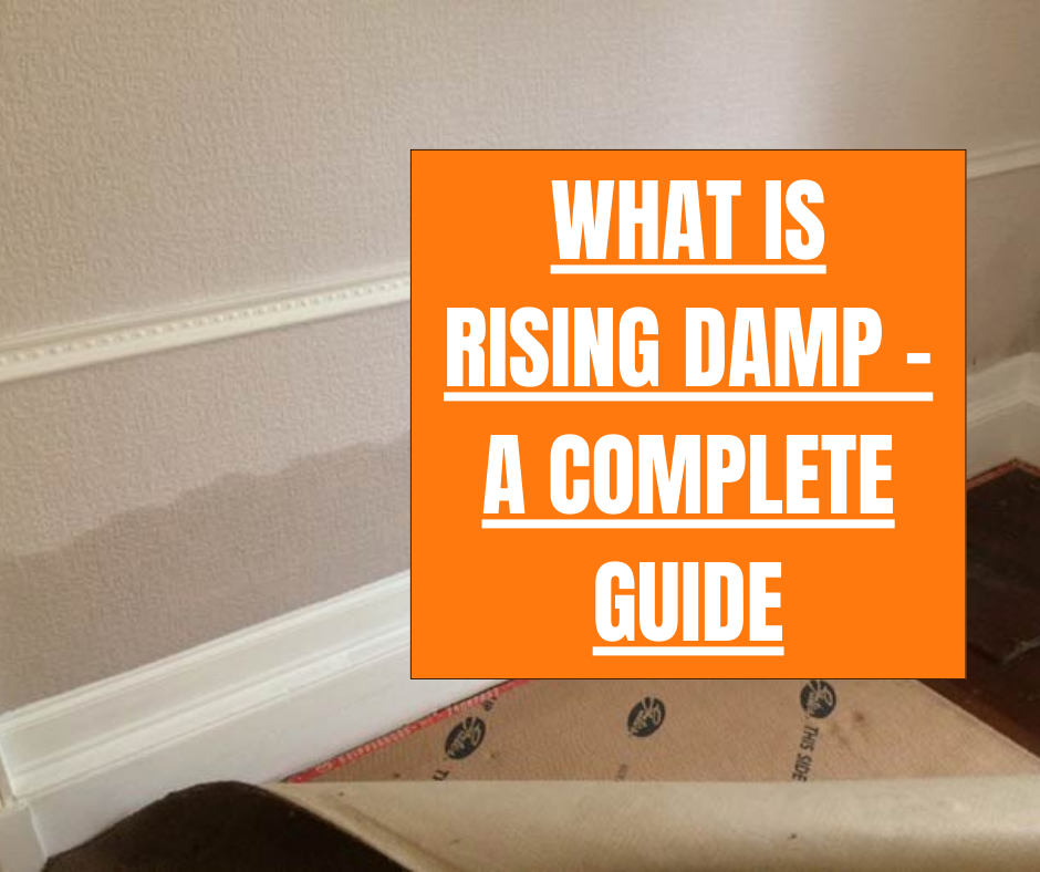 rising damp complete guide