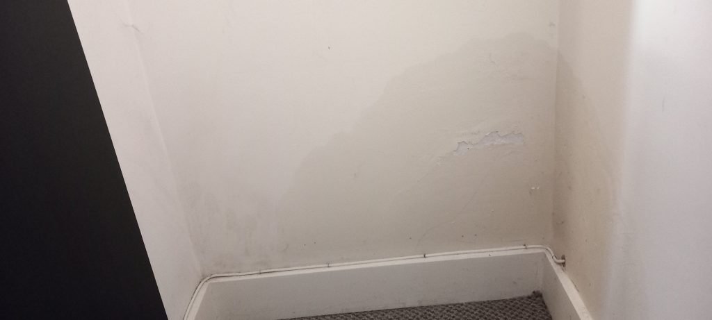 illustration for damp interior walls