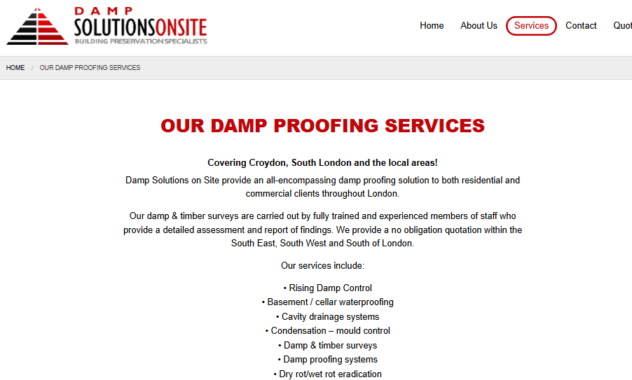 Damp Solutions on-Site logo