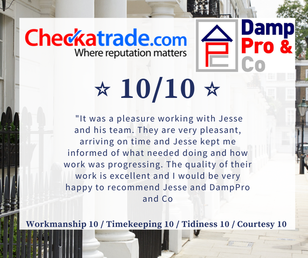 Damp Pro &Co Ltd
