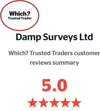 damp surveys limited co