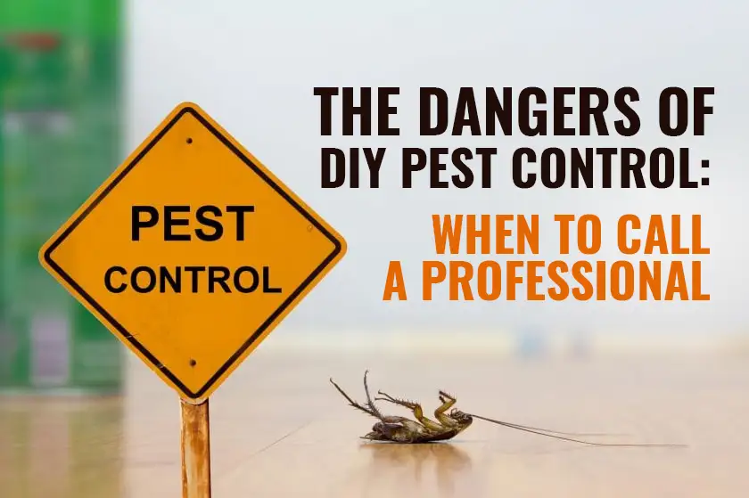 when to call professional pest control