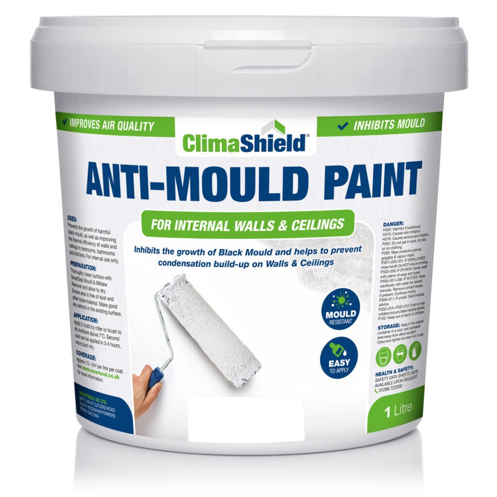 anti mould paint