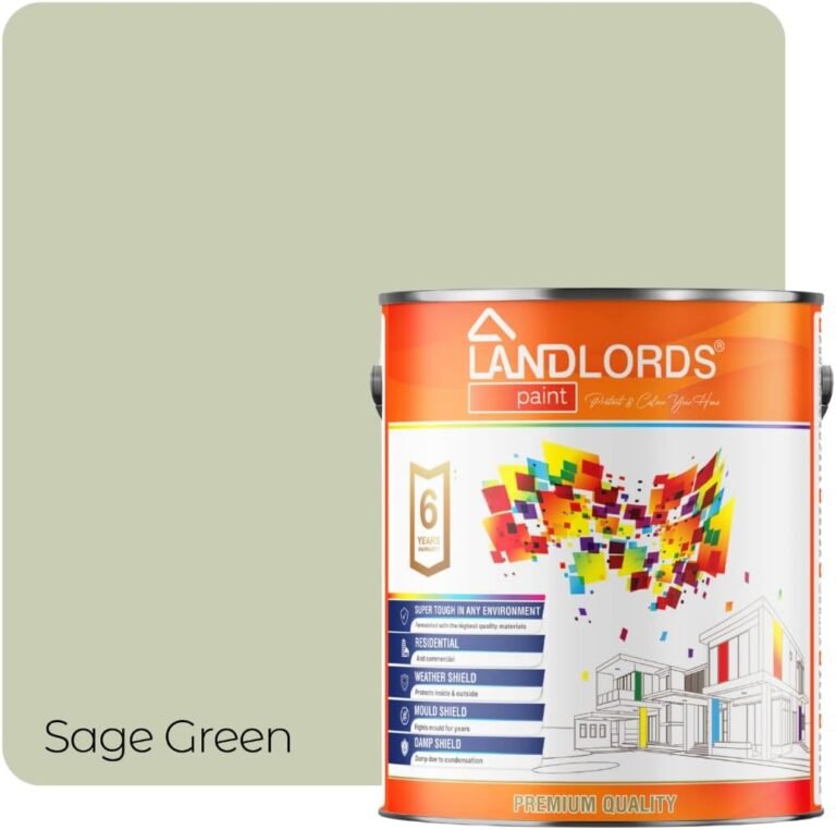 Top 10 Anti Mould Paints for UK Homes (That Actually Work)
