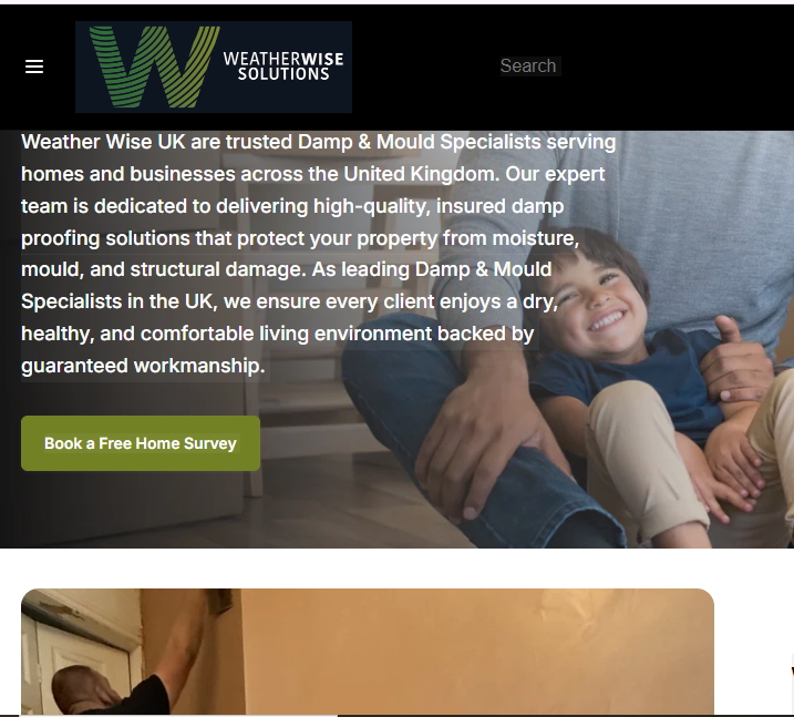 weather wise solutions
